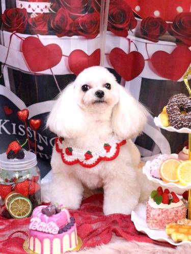 20250219シェリーちゃん